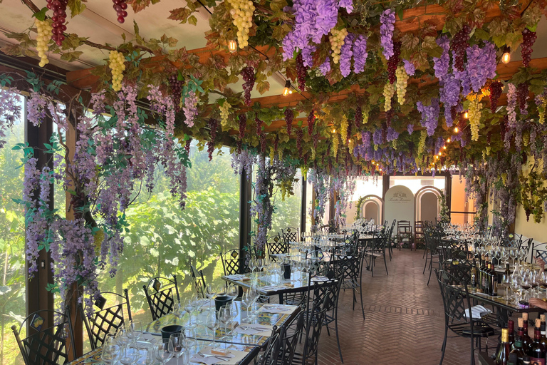 Florence: Pisa, Siena, & San Gimignano Day Trip with Lunch VIP SMALL GROUP