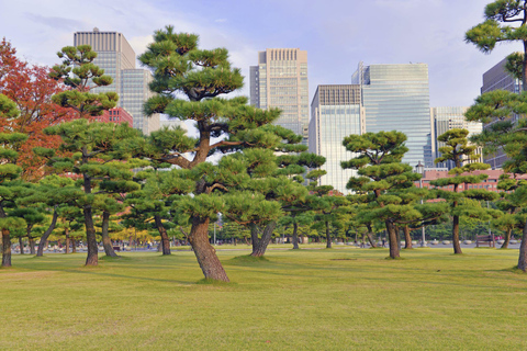 Tokyo : visite d&#039;une demi-journée le matin en petit groupe