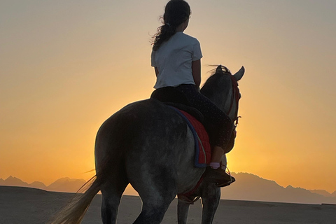 Soma Bay: Reittour mit HoteltransferSoma Bay: Reittour ohne Hoteltransfer