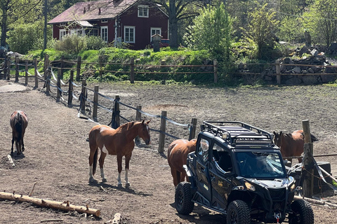 赫尔辛基：驯鹿公园与马厩私人游赫尔辛基：驯鹿公园与马厩私人导览游