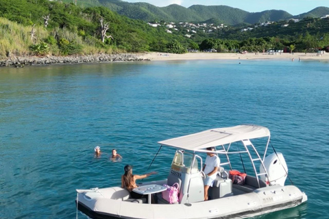 Saint Martin: Boat excursion between beaches, lagoon, and a stop at Maho
