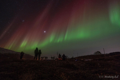 Tromsø: Express Aurora Hunt