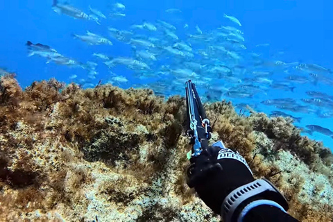 Cyprus: Guided Freediving and Spearfishing Experience