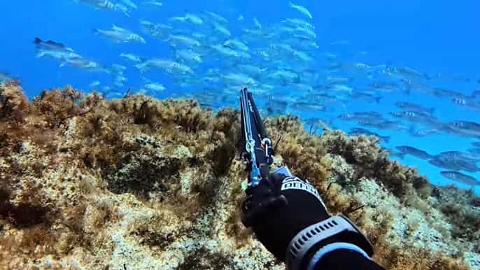 Chipre: experiencia guiada de apnea y pesca submarina