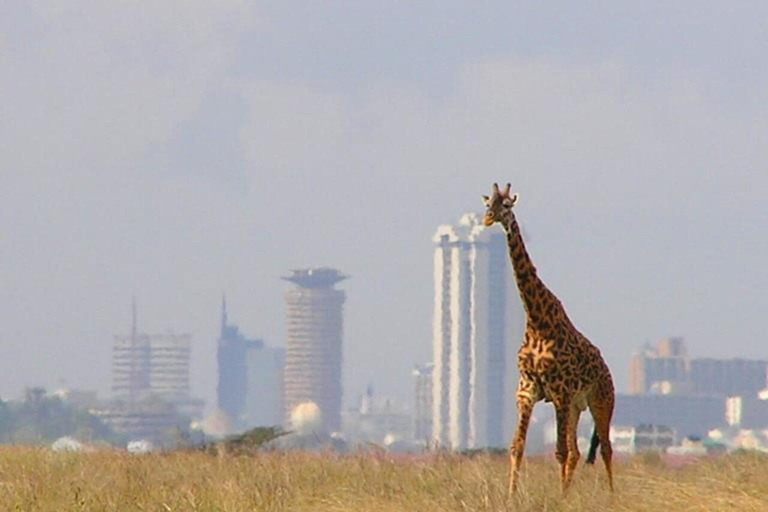 DAY TRIP NAIROBI NATIONAL PARK