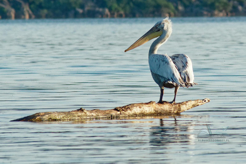 From Budva: Skadar Lake Land and Boat Tour