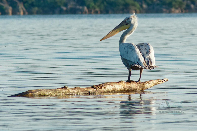 From Budva: Skadar Lake Land and Boat Tour
