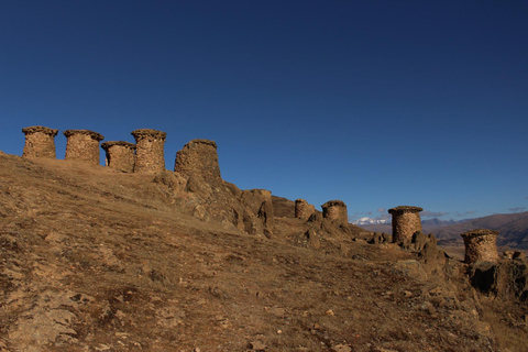 Da Cusco: 5 giorni di esplorazione e connessione nella Zona Riservata del ManuDa Cusco: 5 giorni di esplorazione e connessione nella Zona Riservata di Manu