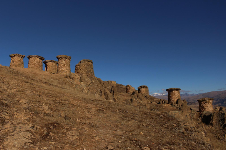 Da Cusco: 5 giorni di esplorazione e connessione nella Zona Riservata del ManuDa Cusco: 5 giorni di esplorazione e connessione nella Zona Riservata di Manu
