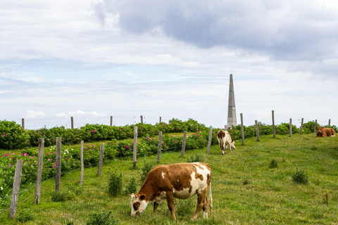 Normandy D-Day Beaches: Small Group Tour from Paris
