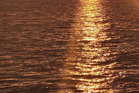 St. Augustine: Crociera tropicale al tramonto Black Raven