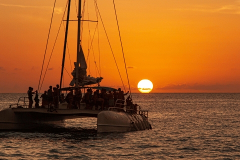 Martinique: Catamaran cruise langs dolfijnen en schildpadden