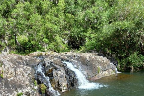 Halve dag Tamarind Falls 7 watervallen door Mystik Adventure