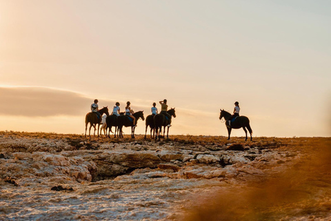 Menorca: 2-Hour Horse Riding Tour to the Coast of Atalis and Son Bou Menorca: 2-hour horse riding tour to the coast of Atalis and Son Bou