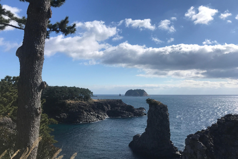 Wycieczka autobusowa na zachód od wyspy Jeju z miasta Seogwipo na wyspie JejuWycieczka autobusowa na zachód od wyspy Jeju / nocleg ze śniadaniem