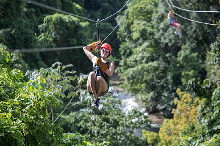 Punta Cana: Avventura nella foresta pluviale con la zipline