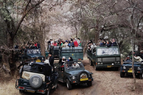 Desde Jaipur: Excursión privada de un día al Parque Nacional Safari del Tigre