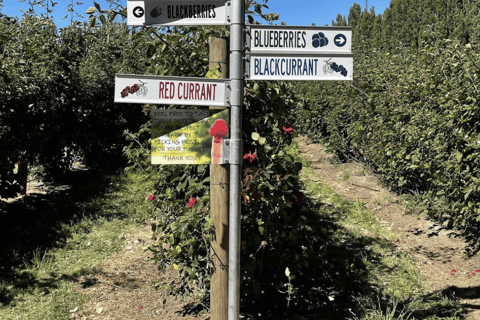 Excursión de un día del Monte Field al MONA