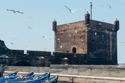 Essaouira Full-Day Coastal Discovery & Argan Oil Experience