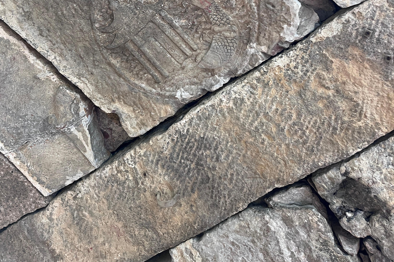 Suzhou & Tongli Water Town One Day Escape from Shanghai