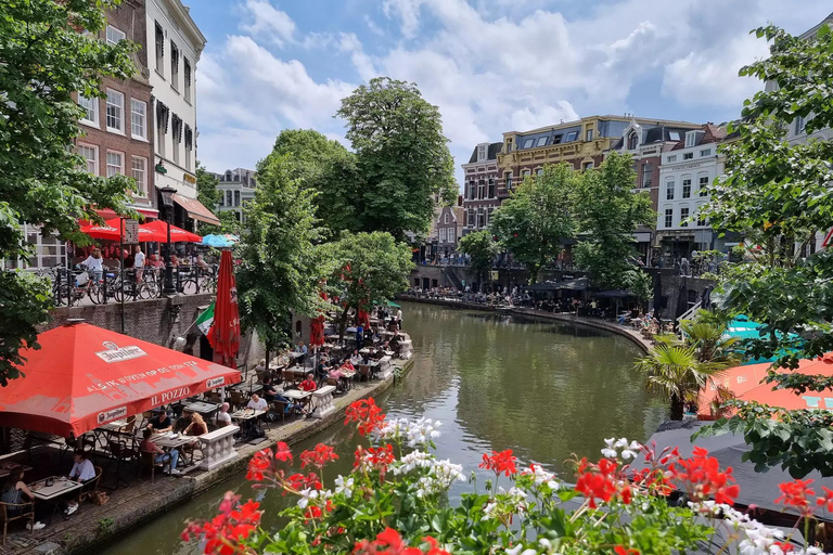 Amsterdam: Castle De Haar & Utrecht old town Private Tour