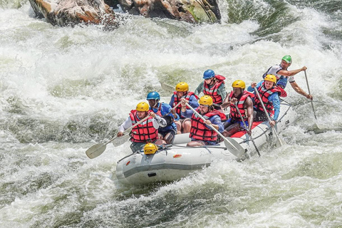 Zambezi River Rafting with Lunch and Transfer