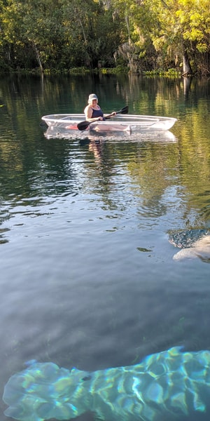 Silver Springs Manatees And Monkeys Clear Kayak Guided Tour Getyourguide