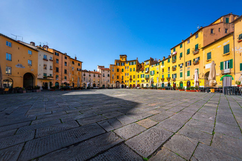 Florence: Tuscany 1-Day Flexible Sightseeing Bus Tour