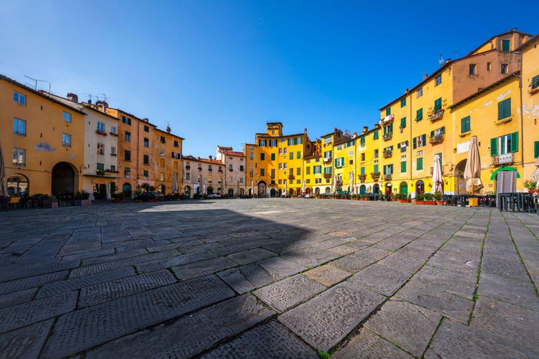Florence: Tuscany 1-Day Flexible Sightseeing Bus Tour
