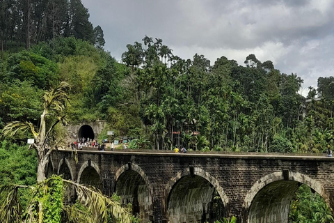 11 noches y 12 días de viaje de ida y vuelta por Sri Lanka: ¡naturaleza, cultura y experiencias locales!