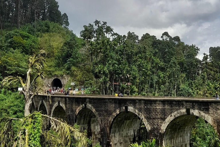 11 noches y 12 días de viaje de ida y vuelta por Sri Lanka: ¡naturaleza, cultura y experiencias locales!