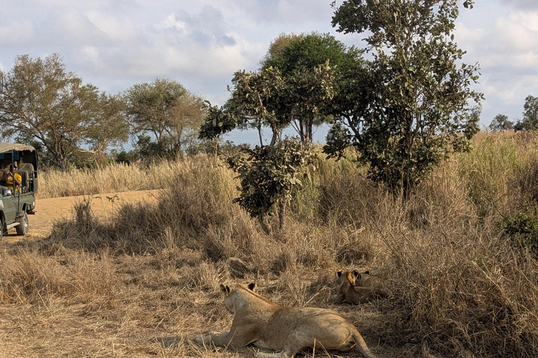 SAFARI ANIMALIER DE ZANZIBAR À MIKUMI 3 JOURS ET 2 NUITS