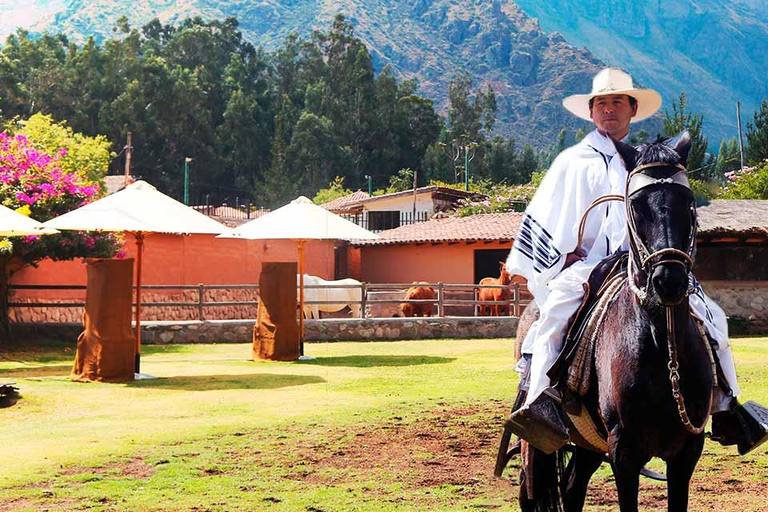 Passeio a cavalo pela Finca La Caravedo, sem degustação