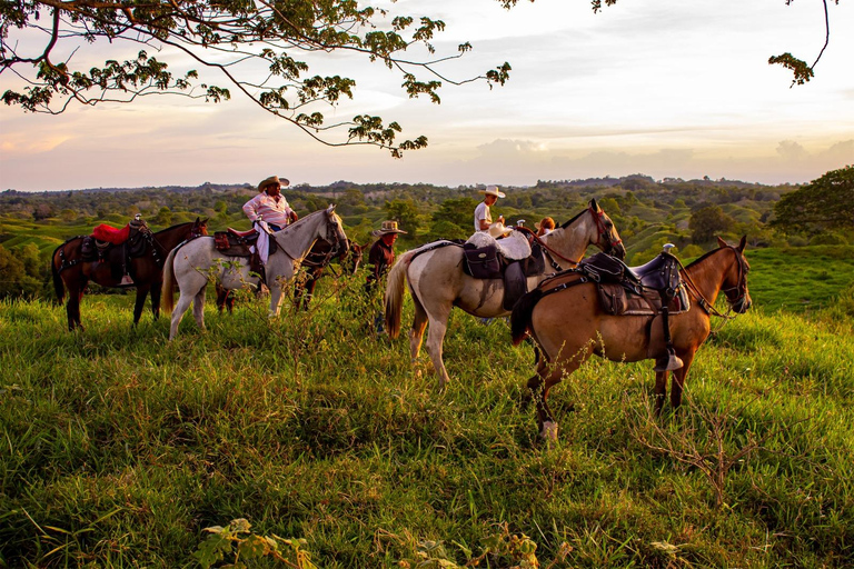 From Medellin; (All-In) The Real Horseback Ranch ExperienceMedellin Departure; Authentic Colombian Ranch Experience