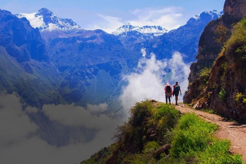 Colca Canyon Tagestour mit Transfer nach Puno