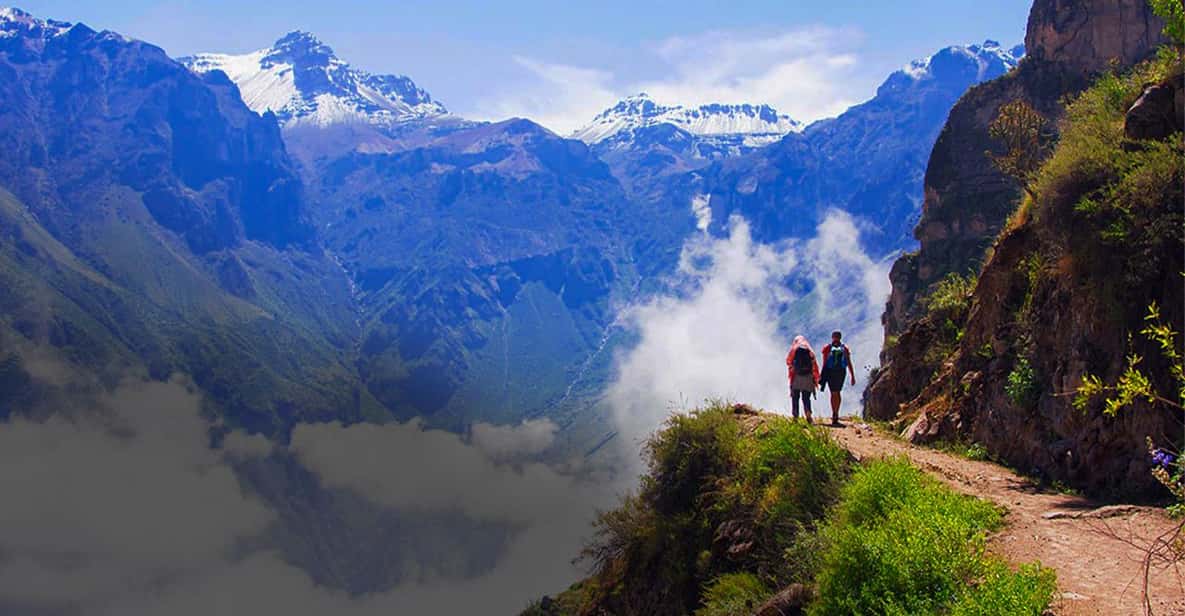 Ab Arequipa: Ganztägige Colca-Canyon-Tour & Transfer nach Puno