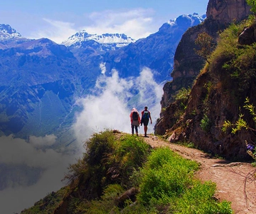 De Arequipa: Viagem de 1 dia ao Canyon do Colca com transfer para Puno