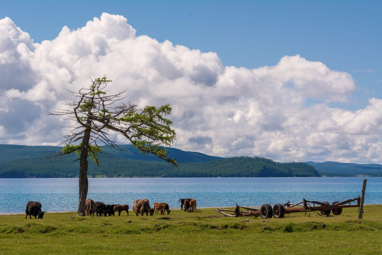 Ulaanbaatar: 10-Day Northern Mongolia Private Tour