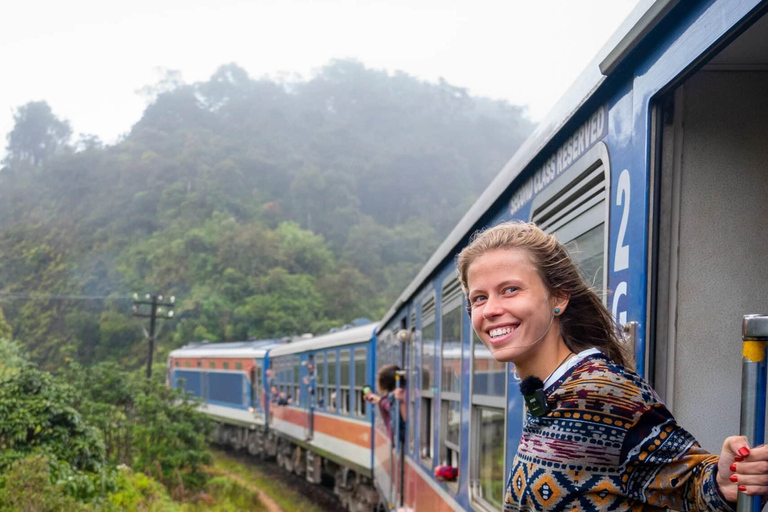 Colombo: Kandy Day Trip with Scenic Hill Country Train Ride