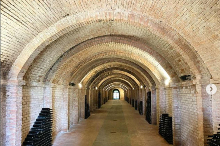 Abbey Tour, Wine Tasting and Light Lunch near Pisa English