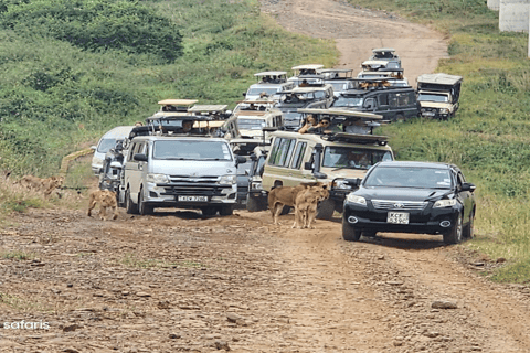 Parco Nazionale di Nairobi Game Drive