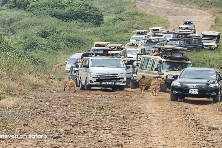 Parco Nazionale di Nairobi Game Drive