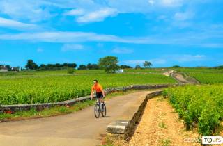 Halbtägige Fahrrad- und Weintour in Burgund