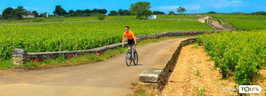 Beaune : Visite des vignobles à vélo avec dégustation de vins