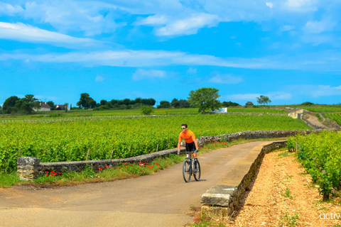 Beaune: Winery Tour by Bike with Wine Tasting