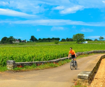 Beaune: Fietstocht door wijnmakerijen met wijnproeverij