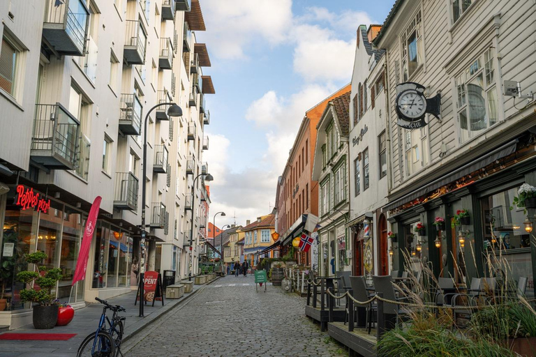 Private Stavanger city Highlights Driving tour