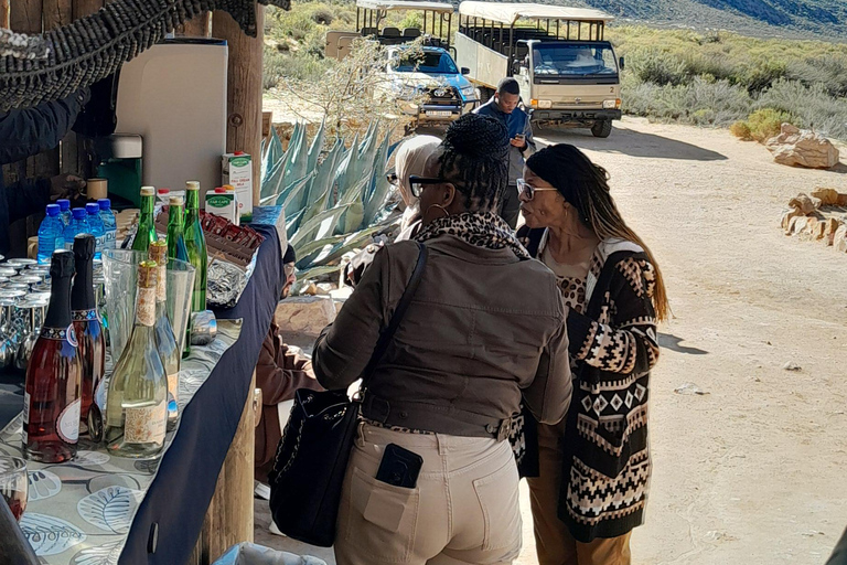 Cape Town Aquilla big sunset safari With transport & food aquila sunset bestseller