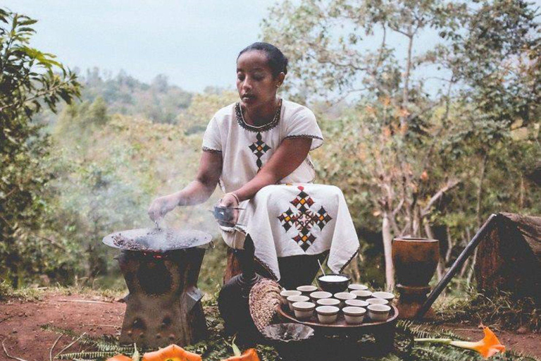 Ethiopia Coffee Tour: 3 Days / 2 Nights in Yirgalem