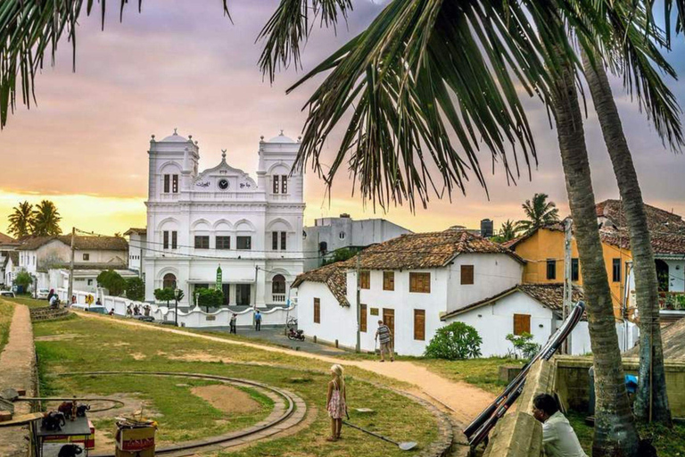 Down South Sri Lanka: 5-Day Beach Adventure Tour